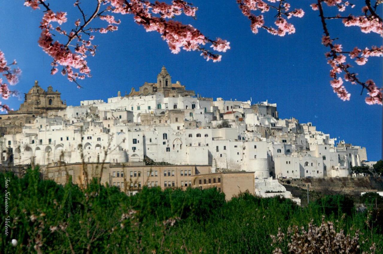 Hotel Centro Di Spiritualita Madonna Della Nova Ostuni Exterior foto